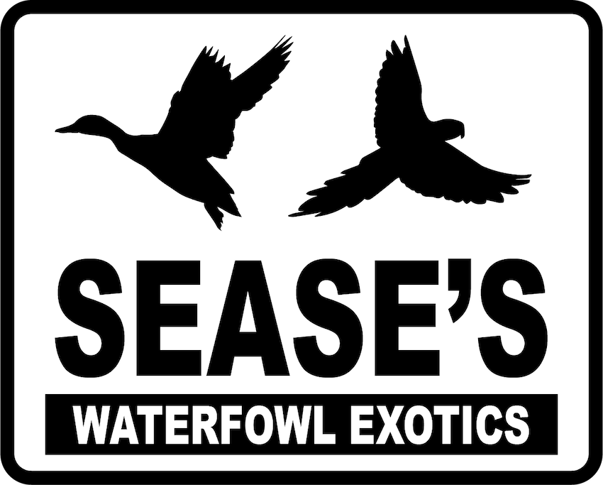 Sease's Waterfowl Exotics