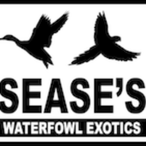 Sease's Waterfowl Exotics